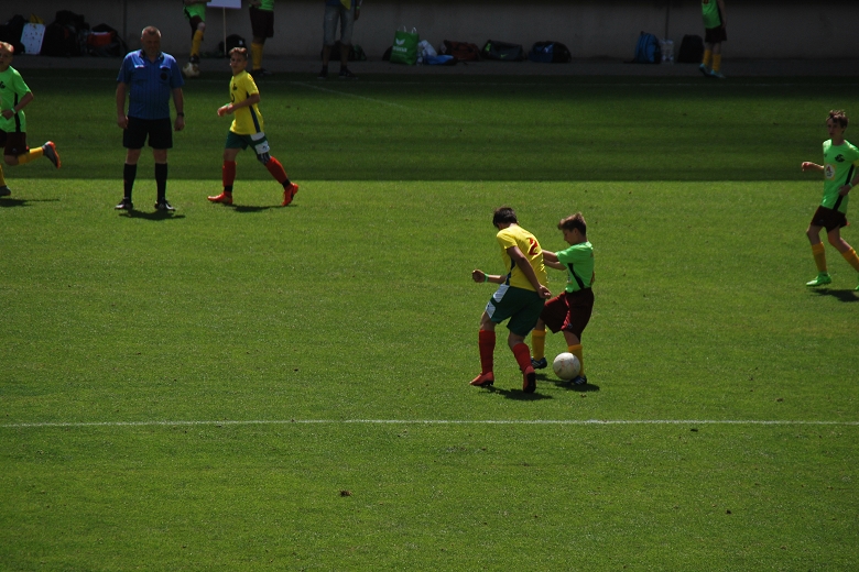 780x520SZ Fan WM C  18.6 (87).JPG